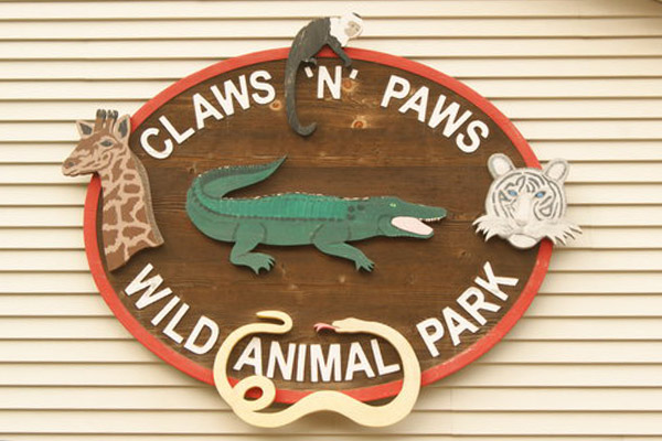 Image related to Claws N' Paws